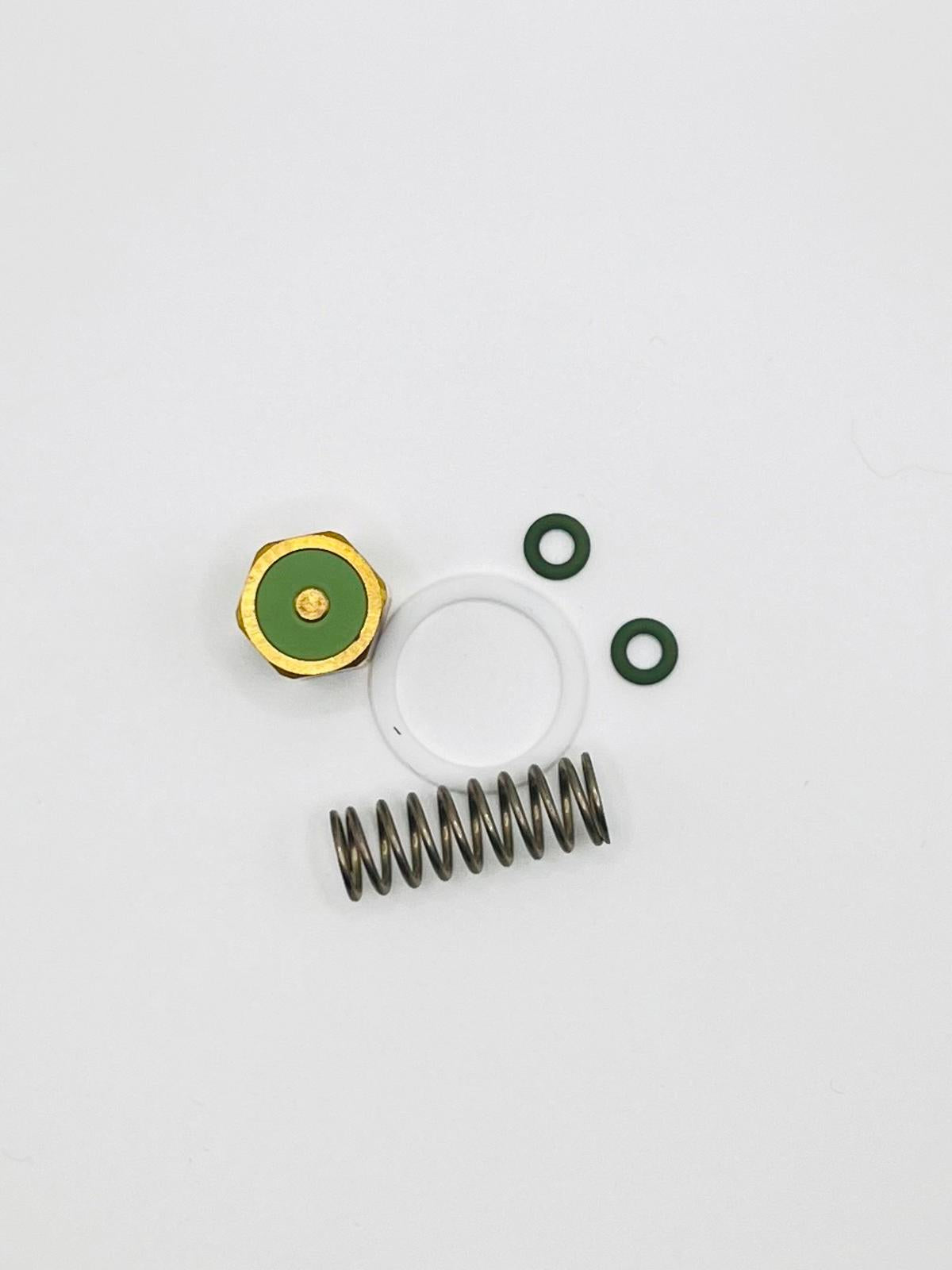 Slayer 46900-10010 Steam Valve Rebuild Kit