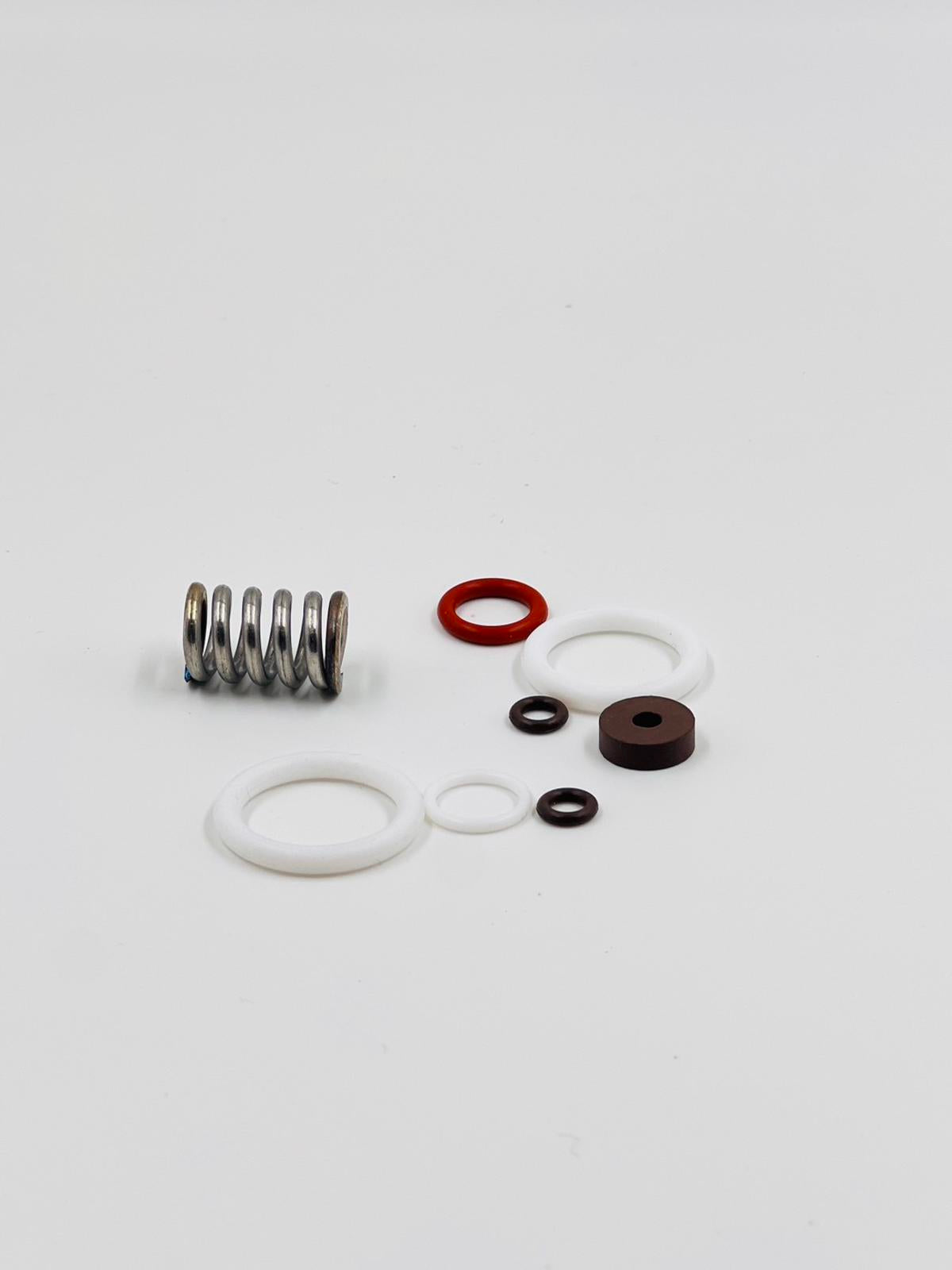 Synesso 1.7320 Steam Valve Rebuilt Kit